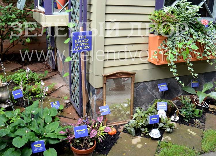 Так выглядит таинственный сад в стиле Гарри Поттера