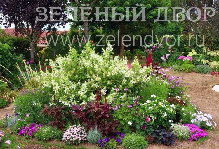Так выглядит клумба из многолетних цветов
