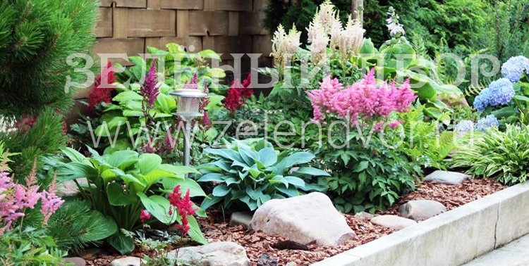Тенистый сад из многолетних цветов