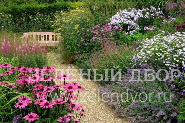 Многолетний цветник в саду