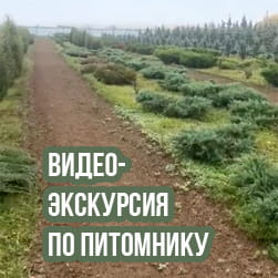 Осенняя экскурсия по питомнику растений «Садовый центр «Зелёный двор»