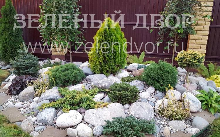 Так выглядит рокарий в саду
