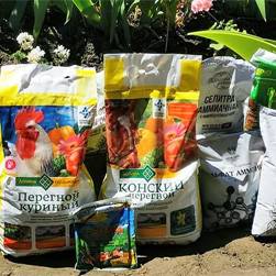 Какими удобрениями запастись перед началом дачного сезона?