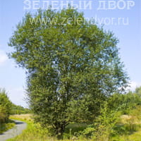 Вид 2