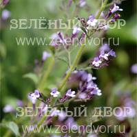Вид 2